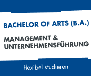 Handelsblatt-bdvb-Webseite-Animation